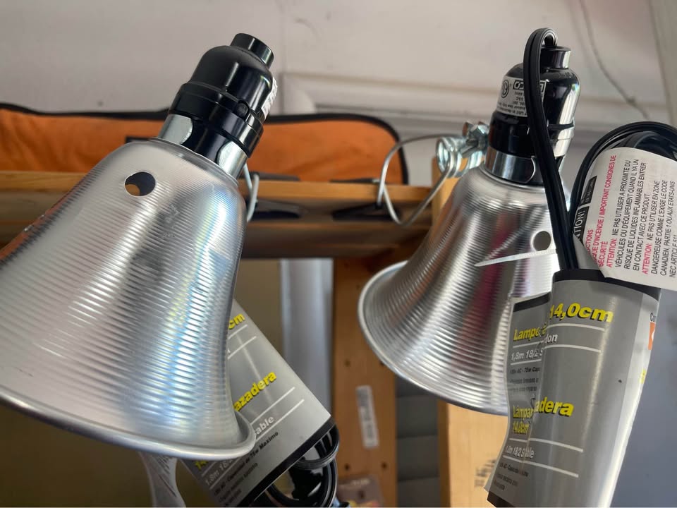 5 1/2" Clamp Lights - Brand New